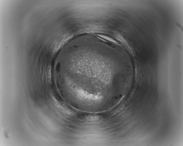 X0000099530202200805301447