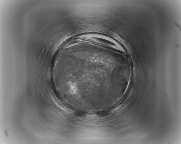 X0000099530203200805301447