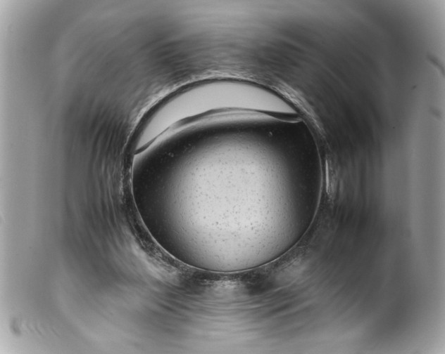 X0000099530204200805301447