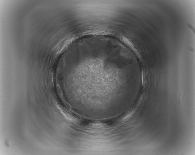 X0000099530205200805301447