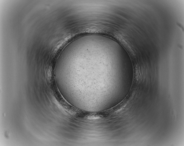 X0000099530208200805301447