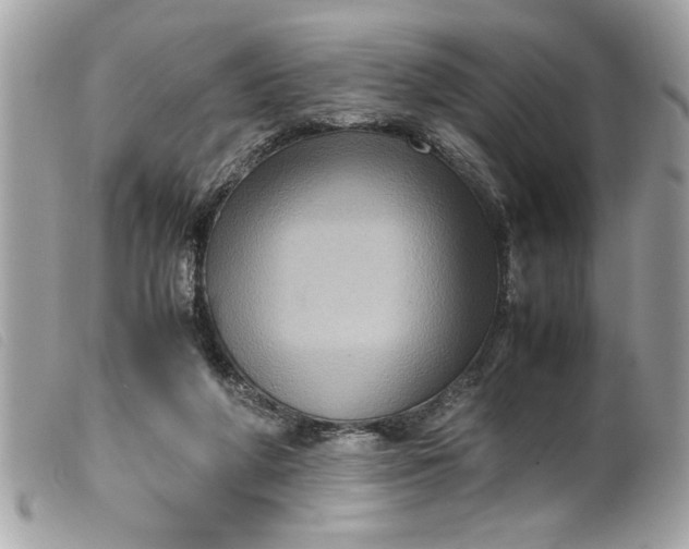 X0000099530210200805301446