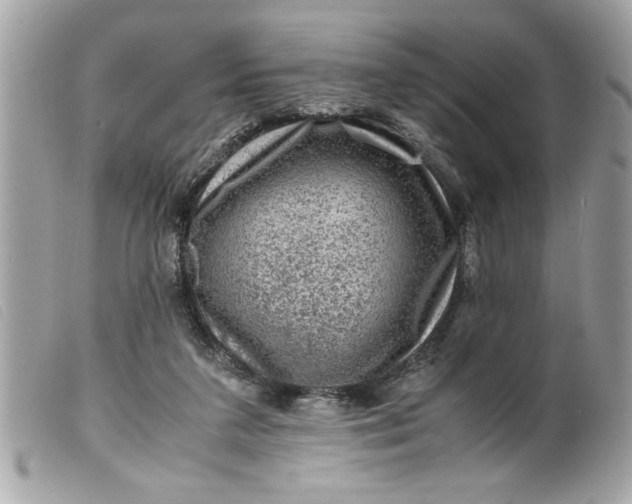 X0000099530211200805301446