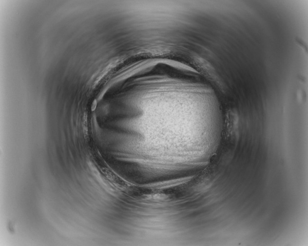 X0000099530212200805301446