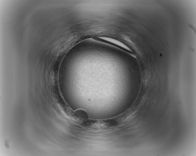 X0000099530213200805301446