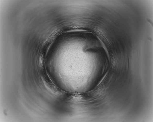 X0000099530214200805301446