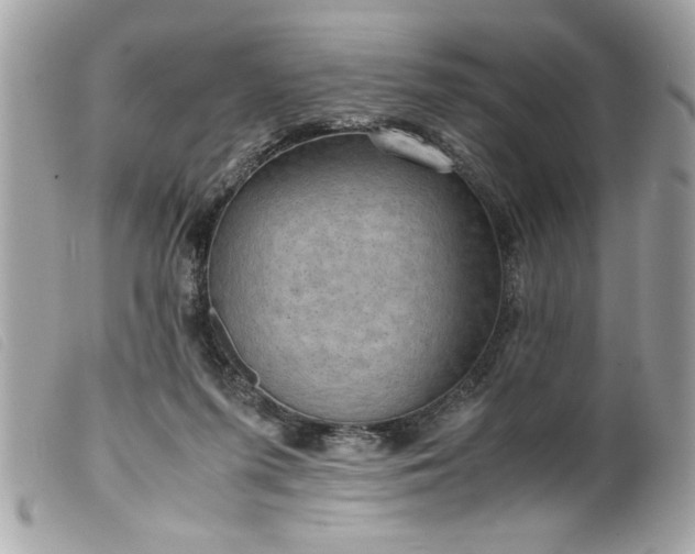 X0000099530215200805301446