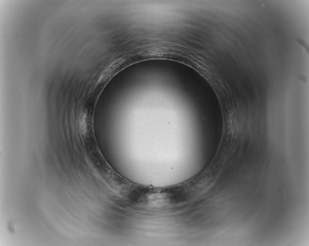 X0000099530216200805301446