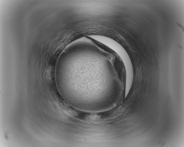 X0000099530217200805301446