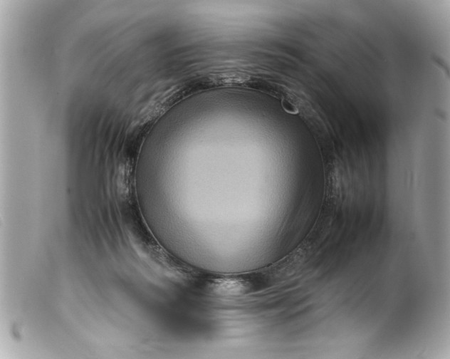 X0000099530218200805301446