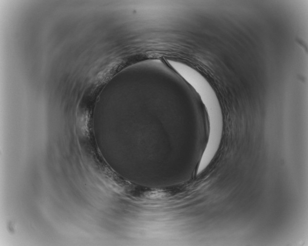 X0000099530219200805301446