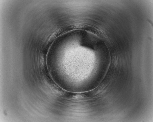 X0000099530220200805301446