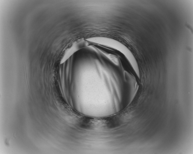 X0000099530221200805301446