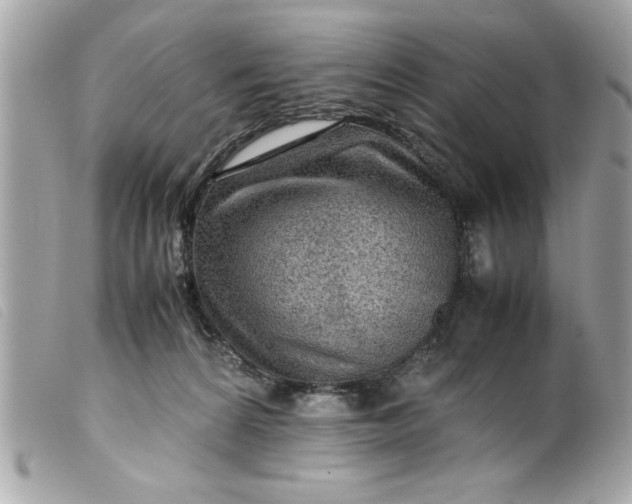 X0000099530224200805301446