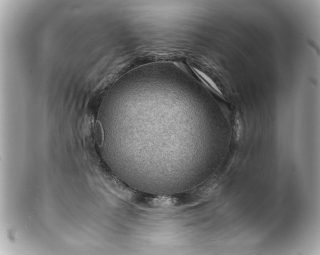 X0000099530225200805301446