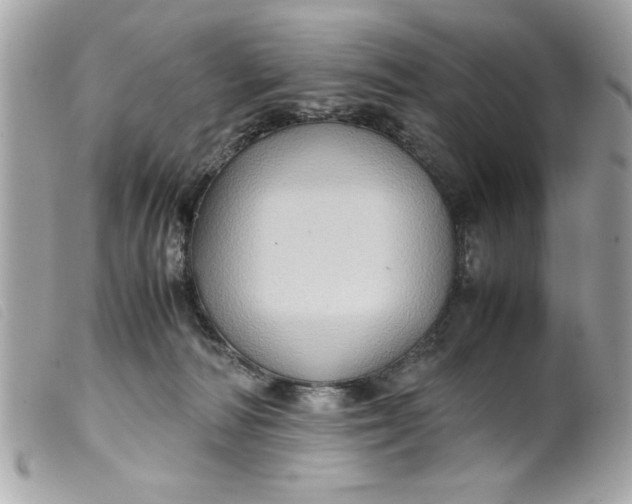 X0000099530226200805301446