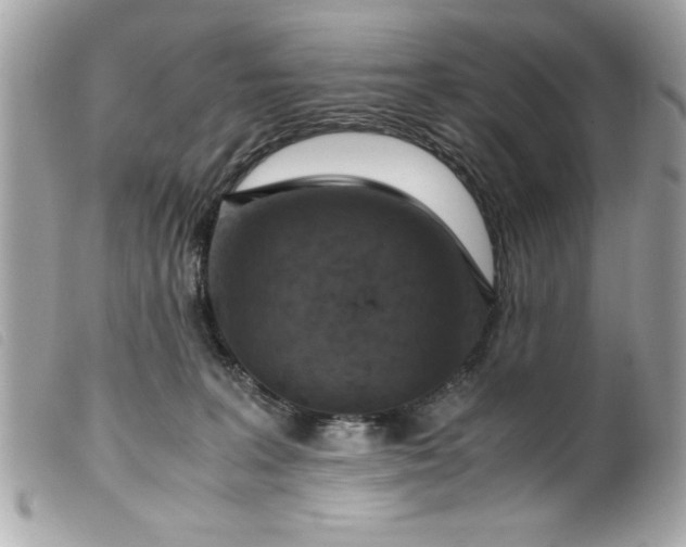 X0000099530227200805301446