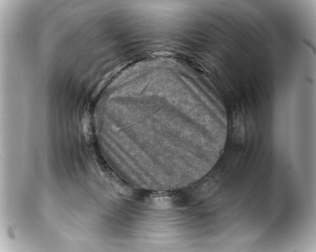 X0000099530228200805301446