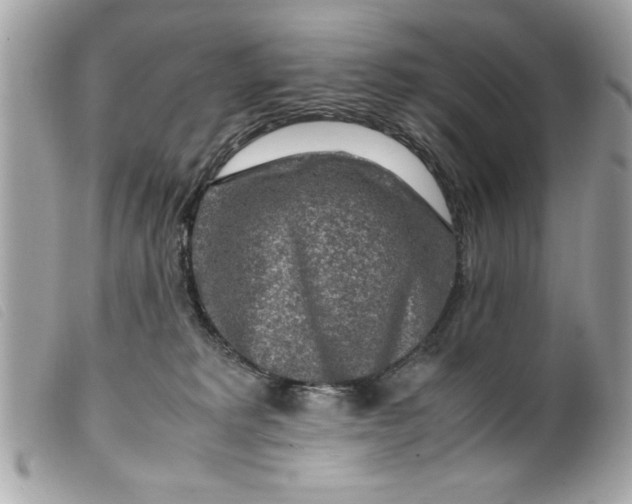 X0000099530229200805301446