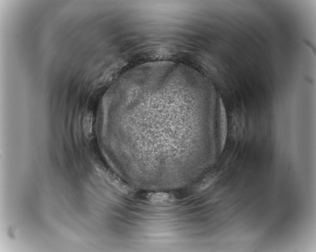 X0000099530230200805301446