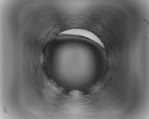 X0000099530231200805301446