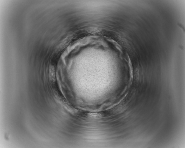 X0000099530234200805301446