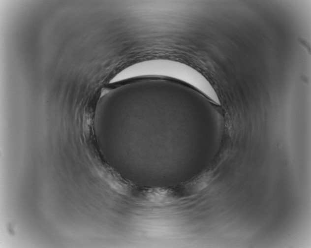 X0000099530235200805301446