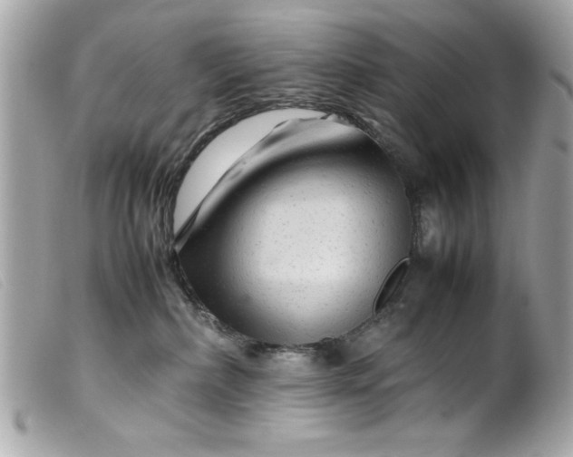 X0000099530236200805301446