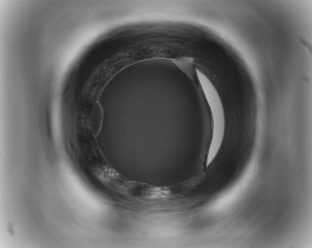 X0000099530239200805301446