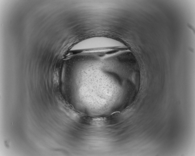 X0000099530240200805301446