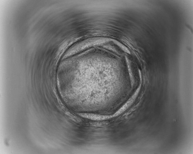 X0000099530241200805301446