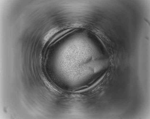 X0000099530242200805301446