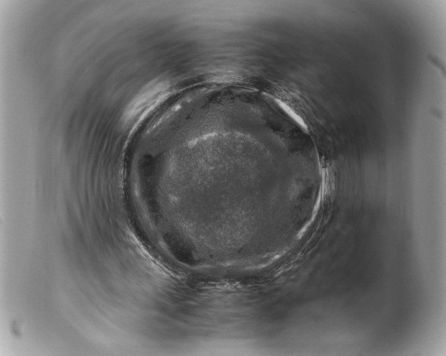 X0000099530243200805301446