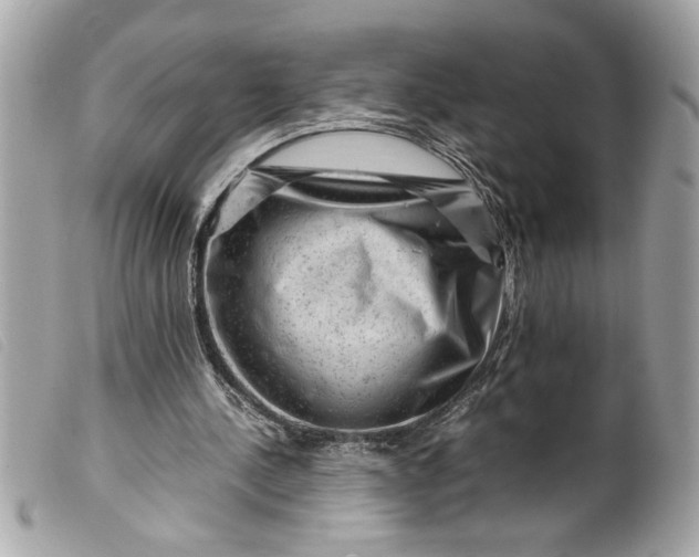 X0000099530244200805301446