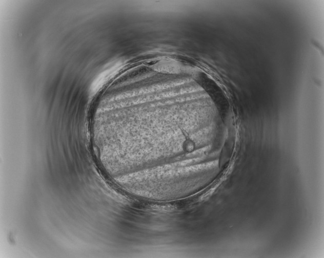 X0000099530245200805301446