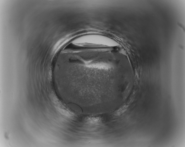 X0000099530247200805301446