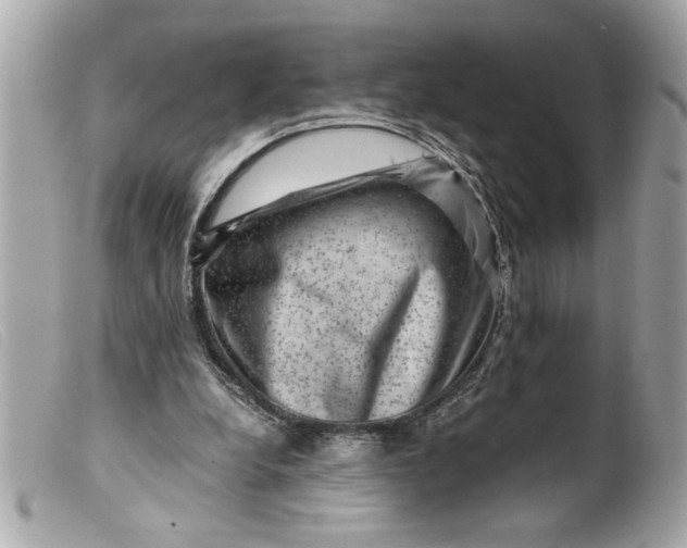 X0000099530248200805301446