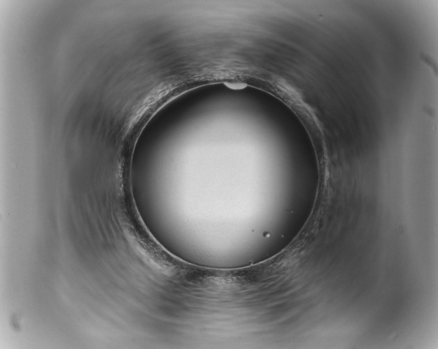 X0000099530250200805301446