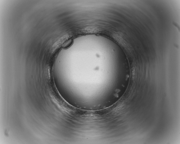 X0000099530254200805301446