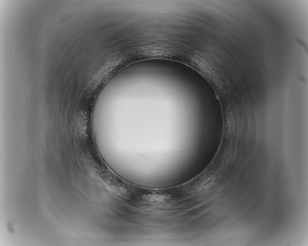 X0000099530255200805301446