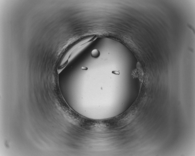 X0000099530256200805301446