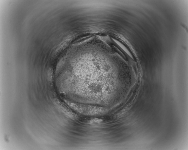 X0000099530257200805301446