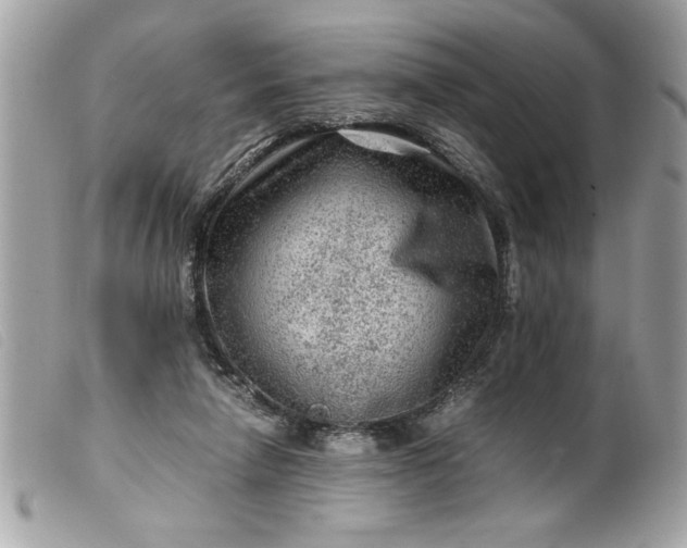 X0000099530258200805301446