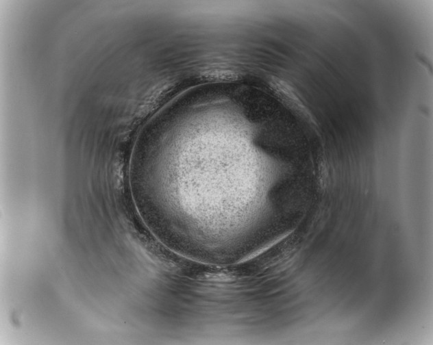 X0000099530259200805301446