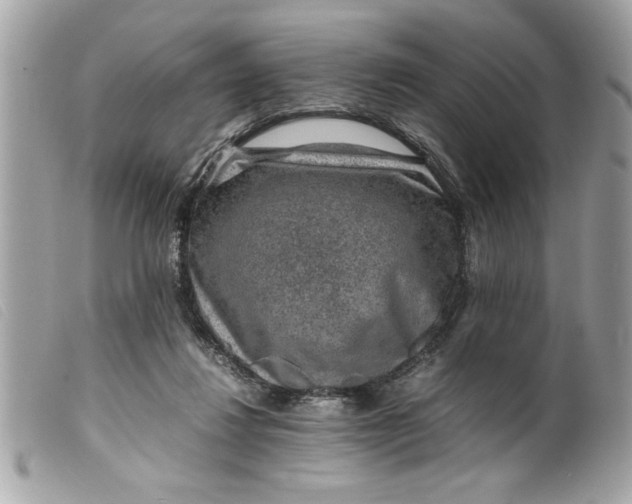 X0000099530260200805301446