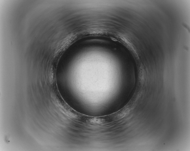 X0000099530261200805301446