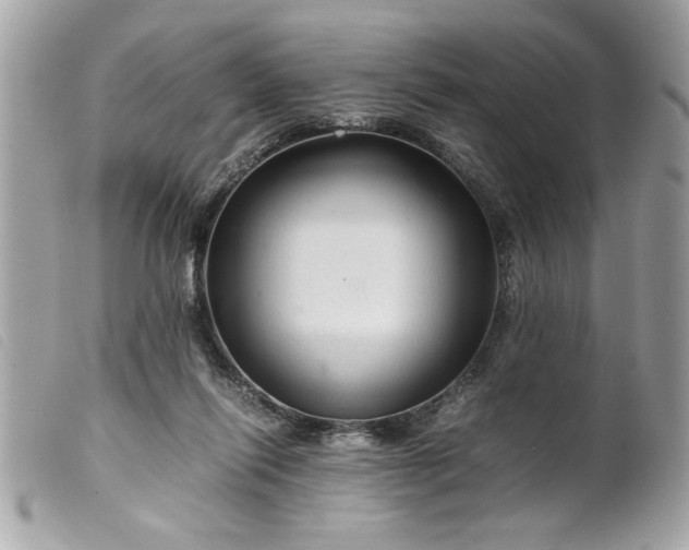 X0000099530262200805301446