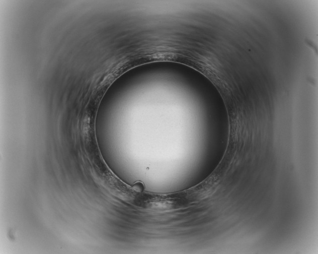 X0000099530263200805301446