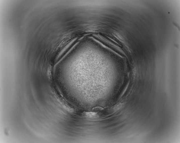 X0000099530265200805301446