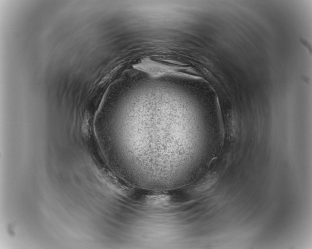 X0000099530266200805301446